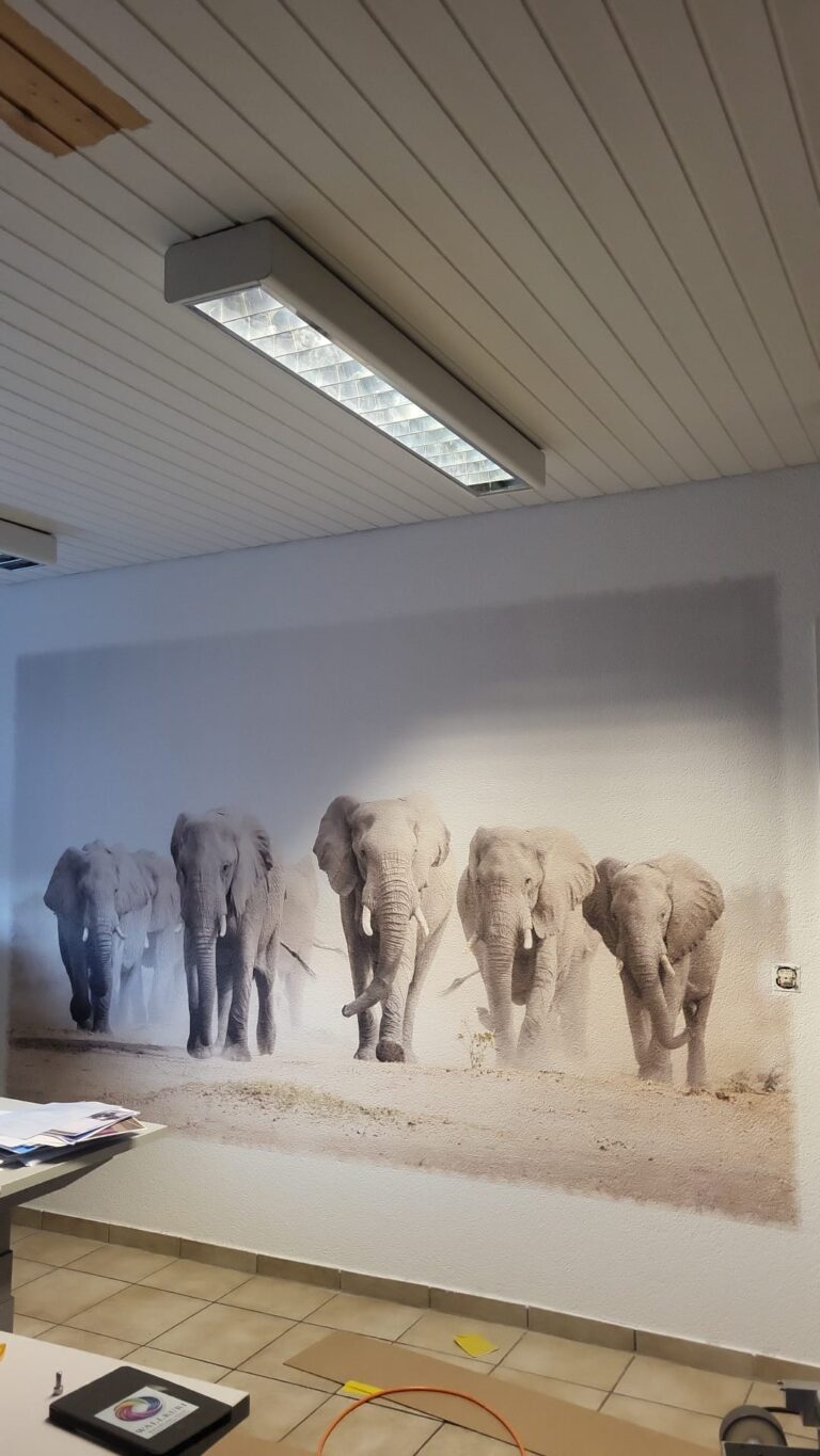 caparol-elefant-fertig